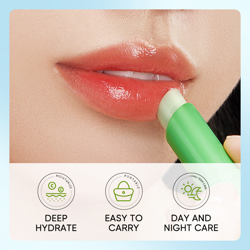 Sadoer Aloe Vera Lip Balm - 2.7g